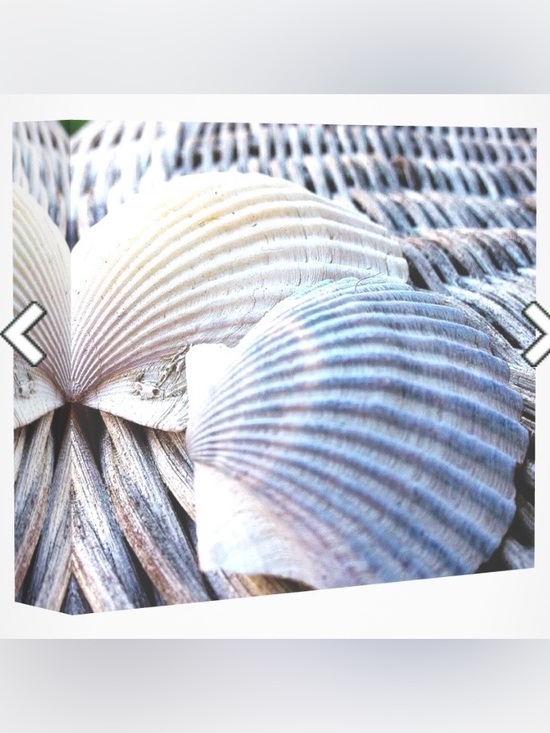 P. Kenney Photography Other - “Coastal Living in Newport RI” 16x20” Canvas Print Signed by Artist White/Beige